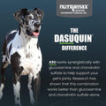 Nutramax Dasuquin MSM Joint Supplement for Large Dogs, Soft Chews, 84ct | Glucosamine and Chondroitin, ASU, MSM, Supports Healthy Joints, For Dogs
