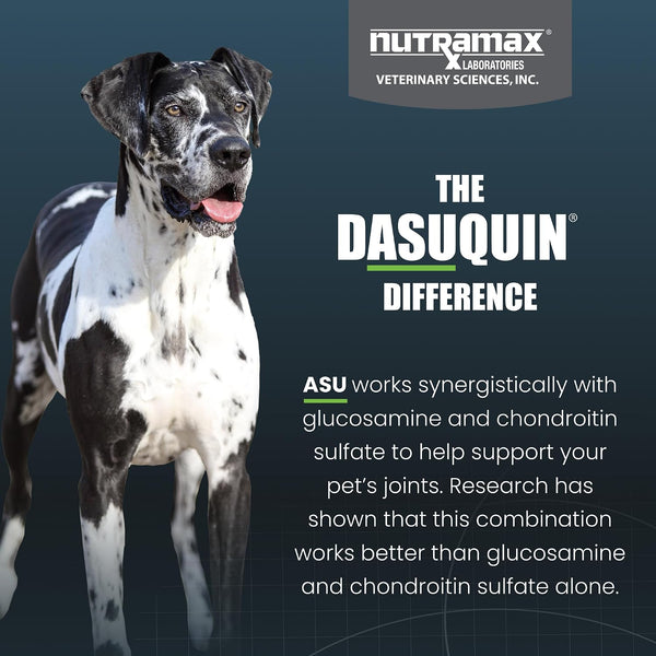 Nutramax Dasuquin MSM Joint Supplement for Large Dogs, Soft Chews, 84ct | Glucosamine and Chondroitin, ASU, MSM, Supports Healthy Joints, For Dogs