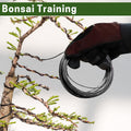 Bonsai Training Wire Set of 4, Total 128 Feet (32 Feet Each Size) | 3 Size - 1.0MM, 1.5MM, 2.0MM, Corrosion and Rust Resistant 1.0MM,1.5MM,2.0MM