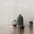 Aromatherapy Essential Oil Diffuser,9 Colors Mood Light,4 Timer Stone Diffuser Living Room(Grey)