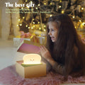 QANYI Desk Decor Toaster Lamp, Rechargeable Small Lamp with Smile Face Toast Bread Cute Toaster Shape Room Decor Night Light for Bedroom, Bedside,