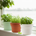 Pottiffe 10 Inch Plastic-Flower-Pot-for-Indoor-Plants, 4 Pack Large Outdoor Planter Pot with Drainage Holes & Saucers, Resin Decorative Garden