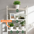 T4U Plant Pots Indoor 6 Inch 8 Pack, Plastic Flower Pots with Saucer White 6 inch White