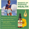 Berberine Supplement with Ceylon Cinnamon - Berberine Liquid Drops with Turmeric Curcumin, Ceylon Cinnamon, Bitter Melon, Berberine Phytosome for