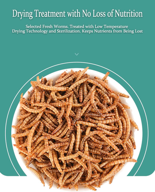 Reptile Food Dried Mealworms Pet Worms Food for Bearded Dragon, Lizard, Turtles,