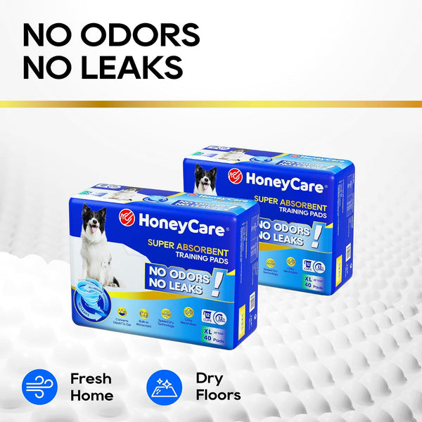 HONEY CARE All-Absorb, X-Large 28" x 34", 40 Count, Dog and Puppy Training Pads, Ultra Absorbent and Odor Eliminating, Leak-Proof 5-Layer Potty