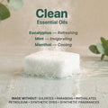 Shower Steamers Aromatherapy - USA Made with Natural & Organic Ingredients Eucalyptus Mint 7 Count (Pack of 1)