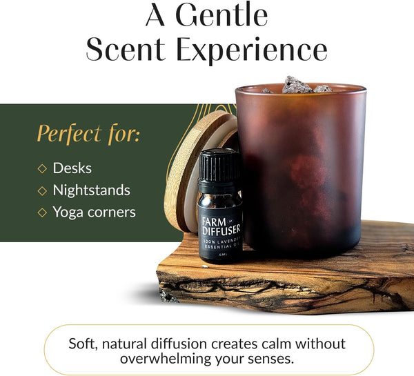 Volcanic Stone Diffuser with Lavender Essential Oil Ã¢ÂÂ Lava Rock Diffuser for Essential Oils | Cordless Passive Diffuser for Desk, Bedroom, or