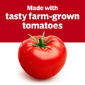 Campbell's Condensed Unsalted Tomato Soup, 10.75 oz Can Unsalted Tomato 10.75 Ounce (Pack of 1)