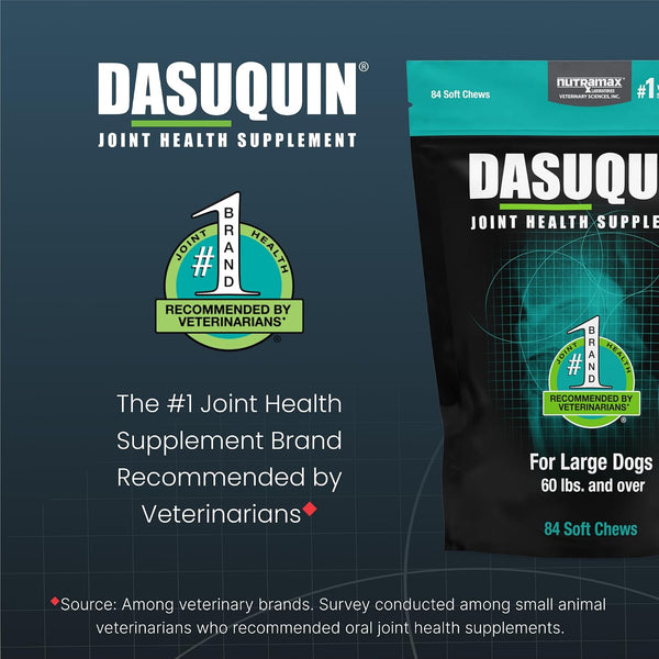 Nutramax Dasuquin Joint Supplement for Large Dogs, Soft Chews, 84ct | Glucosamine and Chondroitin Soft Chews for Large Dogs, with ASU, Supports