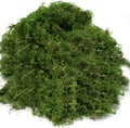 Generic Usmola Fake Moss, Artificial Green Moss for Potted Plants Fairy Garden Accessories, 4OZ (Fresh Green) 4 OZ