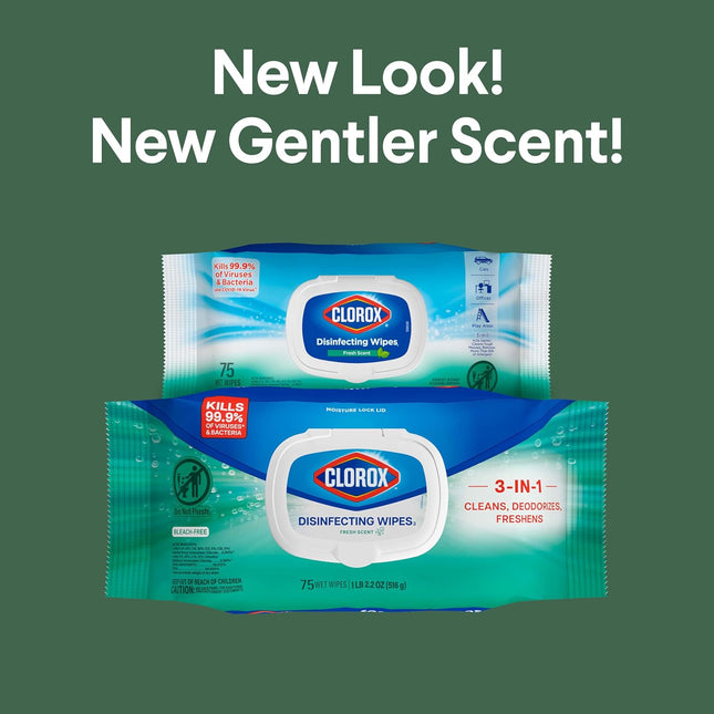 Clorox Disinfecting Wipes, Bleach Free, Household Essentials, Fresh Scent, Moist