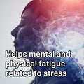 Eleotin Hypno | Serotonin-Free Premium Melatonin Supplement | Restful Sleep & Nighttime Recovery | Health Canada Approved