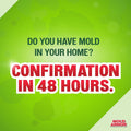 Mold Armor Do It Yourself Mold Test Kit for Home, Test Surfaces, Air Quality, and HVAC, Safe and Easy to Use, Effective Both Indoors and Outdoors