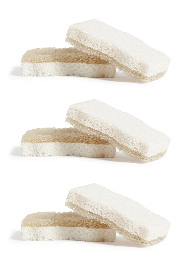 Grove Co. Coconut Scrubber Sponges, 6 Count, Dual Sided, Non-Scratch | 100% Plant-Based Cellulose; Super Absorbent; Removes Tough Messes; Easy to
