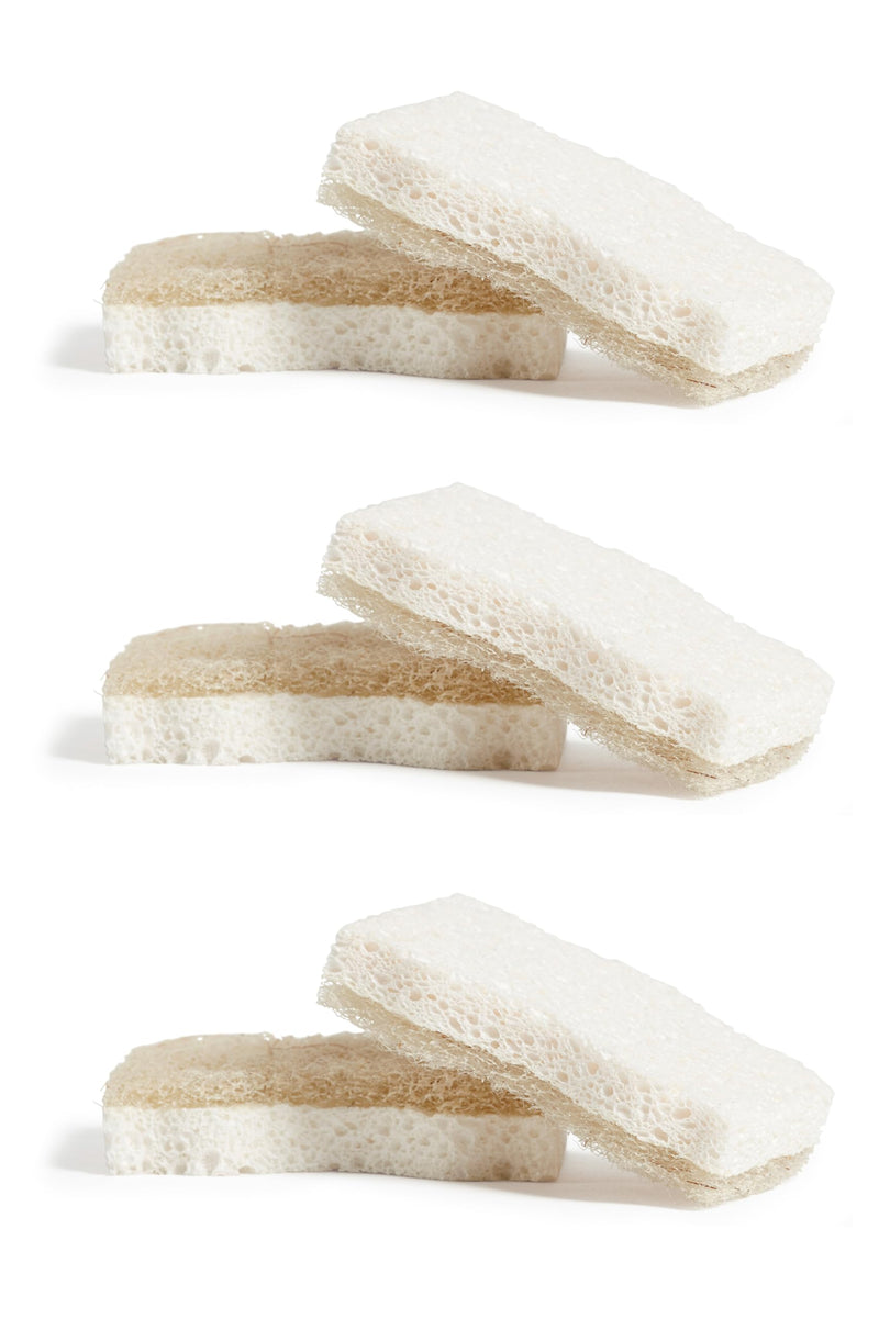 Grove Co. Coconut Scrubber Sponges, 6 Count, Dual Sided, Non-Scratch | 100% Plant-Based Cellulose; Super Absorbent; Removes Tough Messes; Easy to