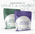 Shower Steamers Aromatherapy, 12 Pack, for Women and Men - Sinus Relief and Self Care Birthday and Relaxation Spa Gift - Eucalyptus Mint