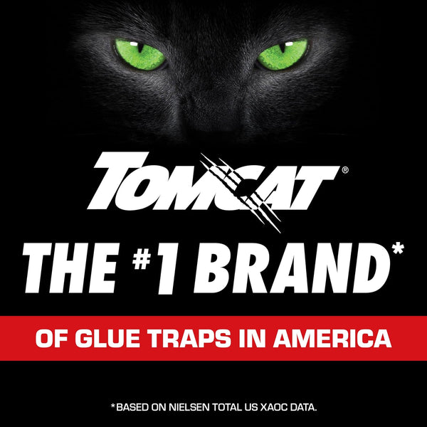 Tomcat Glue Traps Mouse Size with Eugenol for Enhanced Stickiness, 6 Traps | Sticky Pads For Mice, Cockroaches, and Spiders 1-Pack 6 Mouse Glue Traps
