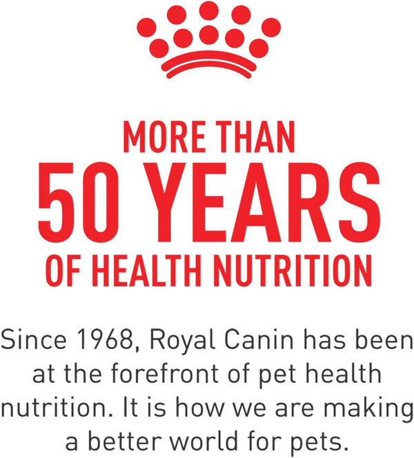 Royal Canin Feline Health Nutrition Sensitive Digestion Adult Dry Cat Food, 3.5 lb Bag 3.5 Pound (Pack of 1)