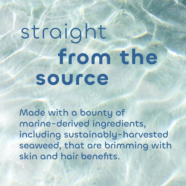 Seaweed Bath Co. Bubbling Muscle Soak, Tea Tree Lavender Scent, 12 Ounce, Sustainably Harvested Seaweed, French Sea Clay, Arnica