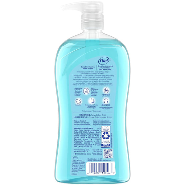 Dial Body Wash, Refresh & Renew Spring Water, 32 fl oz Spring Water 32 Fl Oz (Pack of 1)