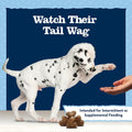 Blue Buffalo Baby Blue Training Treats Natural Puppy Soft Dog Treats, Savory Chicken 4-oz Bag 4 Ounce (Pack of 1)