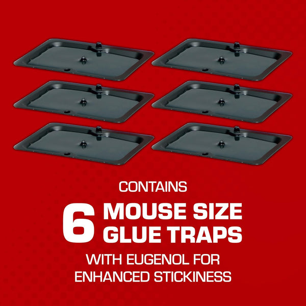 Tomcat Glue Traps Mouse Size with Eugenol for Enhanced Stickiness, 6 Traps | Sticky Pads For Mice, Cockroaches, and Spiders 1-Pack 6 Mouse Glue Traps