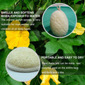 Natural Loofah Bath Exfoliation Body Scrubber, 3 Pack | Shower Sponge, Eco-Friendly Biodegradable, Exfoliating Scrubber, Women & Men, Beige