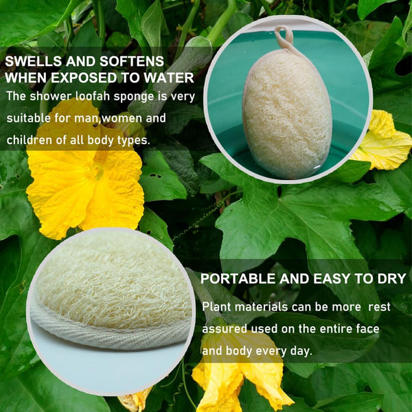 Natural Loofah Bath Exfoliation Body Scrubber, 3 Pack | Shower Sponge, Eco-Friendly Biodegradable, Exfoliating Scrubber, Women & Men, Beige