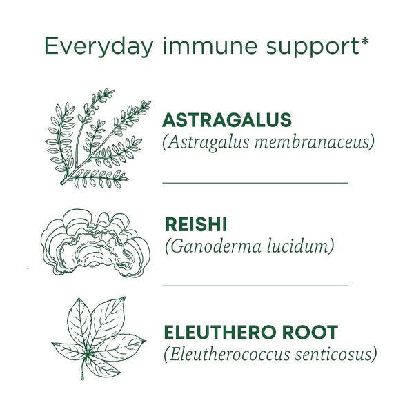 Traditional Medicinals Tea, Organic Stress Ease Immune with Adaptogens, Everyday Immune Support, Reishi Warming Spice, 16 Tea Bags