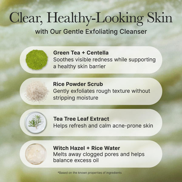 Korean Rice Mochi Face Cleanser - Face Mask, Foaming Cleanser, Gentle Scrub All in One - Deep Cleansing, Moisturizing, Pore Minimizing, Removing