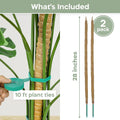 2 Pack 28'' Bendable Moss Pole Monstera Plant Support for Climbing Indoor Plants - Stakes for Potted Climbers - Tall Sticks Indoor Trellis for