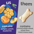 Fruitables Crunchy Baked Dog Treats - Pumpkin & Blueberry - 7 Ounces, Model Number: 2157