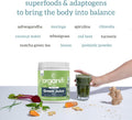 Organifi Green Juice - Powder Supplement with Organic Spirulina, Ashwagandha, and Chlorella - Helps Achieve Fitness Goals and Reduce Cortisol