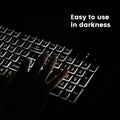 Perixx PERIBOARD-317 Wired Backlit USB Keyboard, Big Print Letter with White Illuminated LED, US English Layout,Black