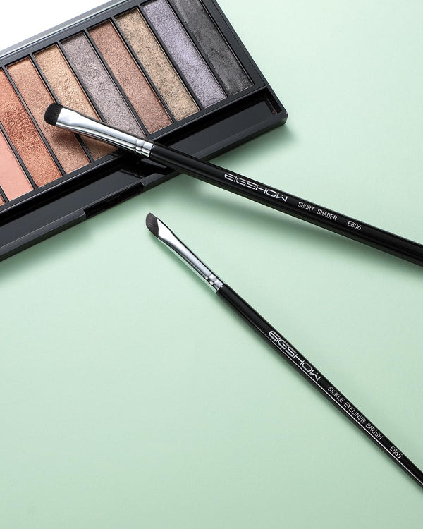 EIGSHOW Eyeshadow Smudge Brush & Eyeliner Brush, High-End Precision Eye Makeup Tools for Blending Cat Eye, Winged Liner (E865&E806) Black+E806