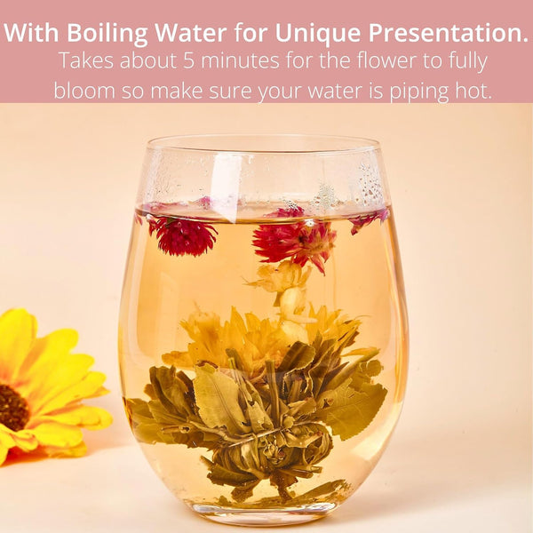 Blooming Tea Flowers Gift Set, 10 Unique Varieties Flowering Tea Balls, Individual Packing Handmade Blooming Balls for Anniversary, Valentine,