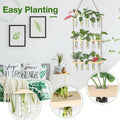 XXXFLOWER Wall Hanging Propagation Station with Wooden Stand 15 Tubes Beige 15 Tube Vases