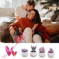 CADNLY Fake Succulent Plant Set - Artificial Desk Plants for Women Desk - Realistic Faux Succulents in Ceramic Pots - Mini Purple Decor for