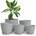Utopia Home - Plant Pots Indoor with Drainage - 7/6.6/6/5.3/4.8 Inches Flower Pots for Indoor Planter - 5 Pack Plastic Planters - Ideal for
