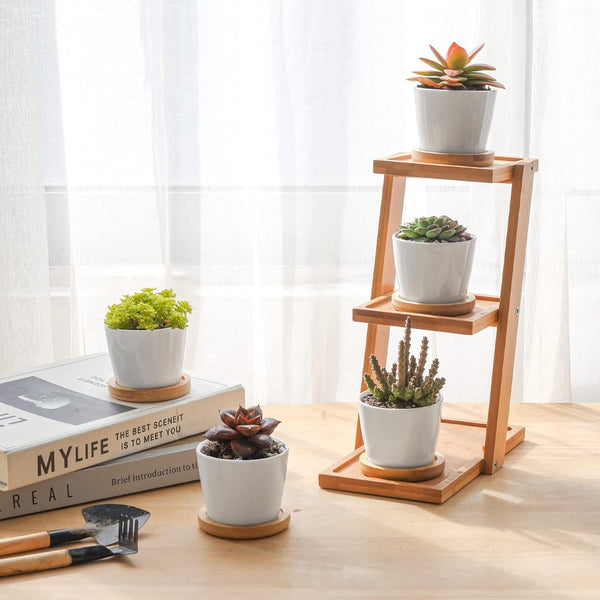 T4U 2.5 Inch Small White Succulent Planter Pots with Bamboo Tray round Set of 12, Ceramic Succulent Air Plant Flower Pots Cactus Faux Plants