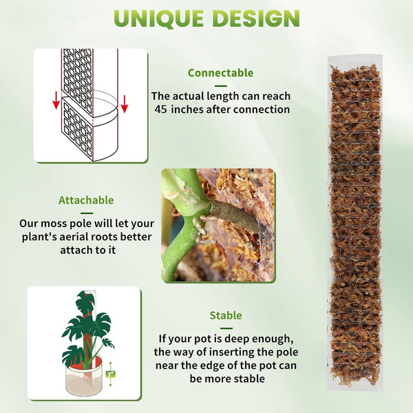 EOX Plastic Moss Pole for Monstera and Climbing Plants, 24-Inch, 6-Pack | Clear D-Shaped Design, Fold-to-Assemble, Sphagnum Moss Not Included,