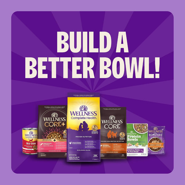 Wellness Complete Health Puppy Dry Dog Food, Small Breed, Wholesome Grains, Natural, Chicken, Oatmeal, & Salmon Recipe, (4-Pound Bag)