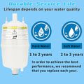 80 Steam Canister Replacement Compatible with Steam Humidifier Canister Model 800 and 865 Steam Canister with O-Ring for Leak-Proof Seal (Pack of 1)