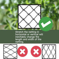 Bird Netting 25x25 Ft, 1/2 in Mesh Heavy Duty Garden Netting | Extra Strong Woven Mesh Netting Pest Barrier for Plants, Fruit Trees, Vegetables,