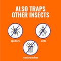 TERRO Indoor Electric Flea Trap and Killer, Refillable Plug in Bug Trap | SuperGrabber Glue Boards for Pest Control, Attracts Fleas from up to 30