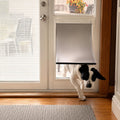 PAC11-11039 Pet Door Replacement Flaps for Dog and Cat, Doggie Replacement Flap Doors Compatible with Pet-Safes Freedom Doggie Doors, Large Size