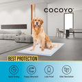 COCOYO Best Value Training Pads 30 Count | Dog Pee Pads | Super Absorbent Puppy Pads 30 Regular Size (22"x22"), 30 Count (Pack of 1)