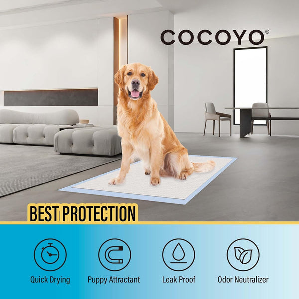COCOYO Best Value Training Pads 30 Count | Dog Pee Pads | Super Absorbent Puppy Pads 30 Regular Size (22"x22"), 30 Count (Pack of 1)