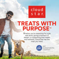 Cloud Star Dynamo Dog Soft Chews Hip & Joint Grain Free Dog Treats, Bacon & Cheese, 14 Oz. Pouch